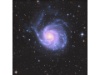 Messier 101 (auch als NGC 5457, Pinwheel-Galaxie oder Feuerrad-Galaxie bezeichnet)  ist eine Spiralgalaxie mit den Abmessungen 28,8' × 26,9' und der scheinbaren Helligkeit von 7,5 mag im Sternbild Großer Bär. Ihre Entfernung beträgt rund 16 Millionen Lichtjahre.
M101 ist eine große Galaxie mit einem Durchmesser von 170.000 Lichtjahren. Zum Vergleich: Die Milchstraße hat einen Durchmesser von 100.000 Lichtjahren. Sie hat rund eine Billion Sterne, doppelt so viele wie in der Milchstraße und sei hat eine Scheibenmasse in der Größenordnung von 100 Milliarden Sonnenmassen sowie eine kleine zentrale Ausbuchtung von etwa 3 Milliarden Sonnenmassen. Die Eigenschaften können mit denen der Andromeda-Galaxie verglichen werden.
