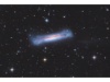 NGC 3628 ist eine aktive Spiralgalaxie mit ausgedehnten Sternentstehungsgebieten vom Hubble-Typ Sc im Sternbild Löwe auf der Ekliptik. Sie hat eine scheinbare visuelle Helligkeit von 9,5 mag. Die Galaxie ist schätzungsweise 34 Millionen Lichtjahre von der Milchstraße entfernt und hat einen Durchmesser von etwa 145.000 Lichtjahren. Bei dem Objekt handelt es sich um eine sogenannte Edge-On-Galaxie, d. h. wir sehen sie genau in Kantenstellung. Die Spiralarme erscheinen hier nur als dunkle staubhaltige Wolken, beleuchtet vom hellen Zentrum der Galaxie.
Zusammen mit Messier 66 und Messier 65 bildet diese Galaxie das Leo-Triplett, den Kern der M66-Galaxiengruppe. Auf länger belichteten Aufnahmen ist ein Gezeitenschweif (hier nur ganz schwach) zu sehen, der von der Galaxie ausgeht. Wahrscheinlich entstand er durch die Wechselwirkungen mit den Gravitationsfeldern der beiden Nachbargalaxien M 65 und M 66.